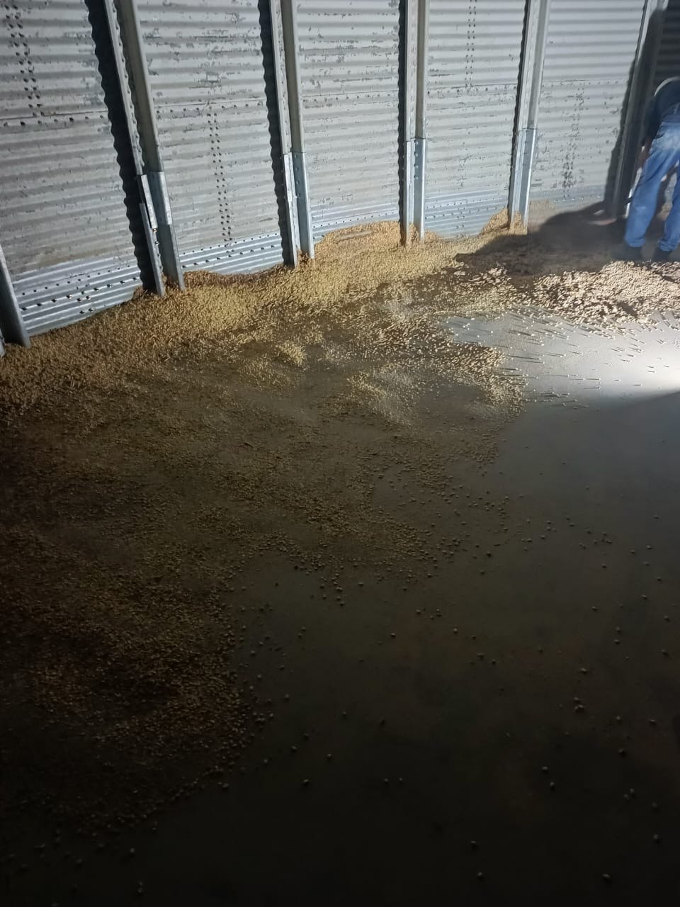 Registro de obra MANSERVIND - Servicio 17