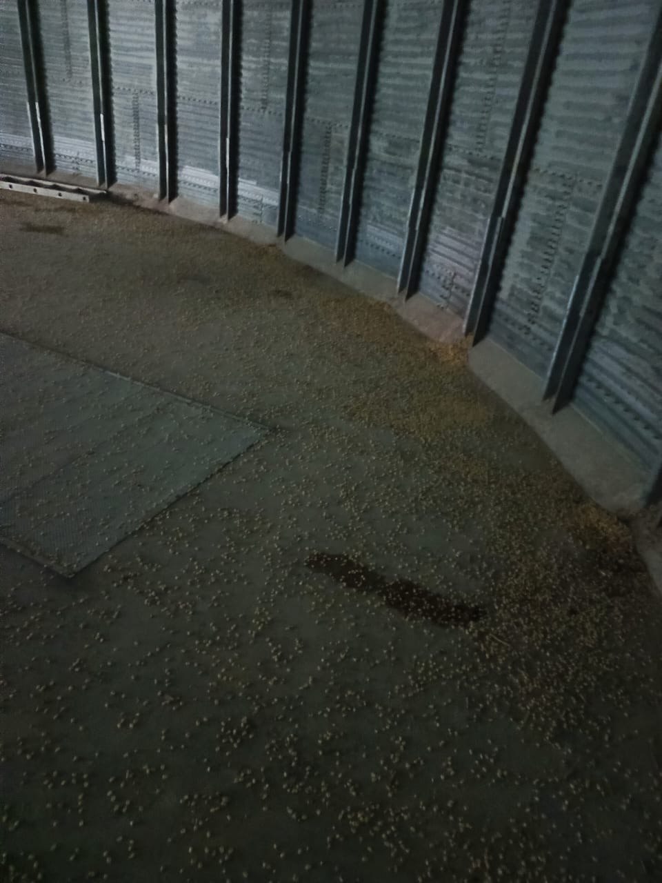 Registro de obra MANSERVIND - Servicio 18